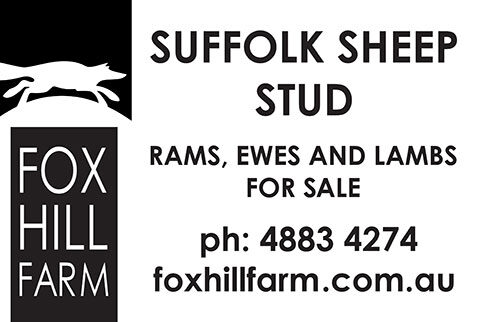 Fox Hill Logo